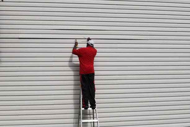 Best Wood Siding Installation  in Avondale, AZ