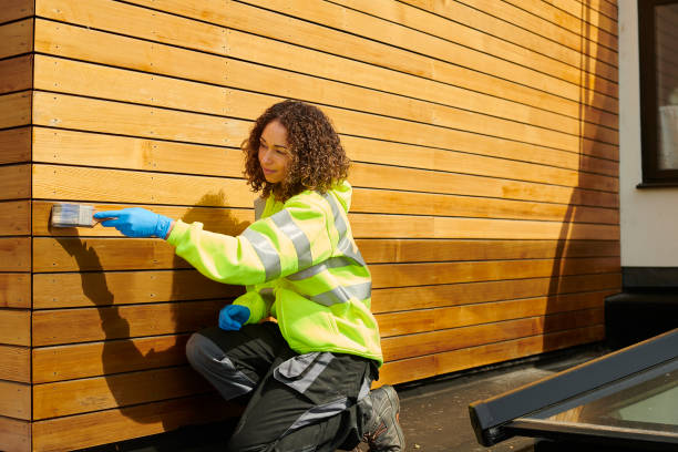 Best Insulated Siding Installation  in Avondale, AZ